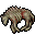 Dead Hyaena