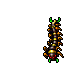 Centipede