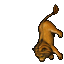 Arena Lion